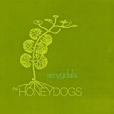 Amygdala