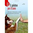 Dettagli prodotto