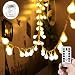 WERTIOO Globe String Lights Battery Operated – 33ft 100 LED Globe Lights with Remote, 8 Modes & Timer – Warm White String Lights for Bedroom, Christmas Tree, Garden, Tent, Camping, Indoor & Outdoor