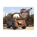 Mater Poster - 12x16"