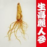 生高麗人参