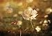 Old-fashioned Flower - Made with Photoshop from My Originals - 18