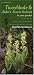 Twayblades and Adder's-mouth Orchids in Your Pocket: A Guide to the Native Liparis, L...
