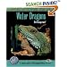 Water Dragons: A Complete Guide to Physignathus and More (Complete Herp Care)