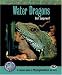 Water Dragons: A Complete Guide to Physignathus and More (Complete Herp Care)