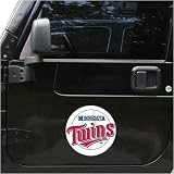 Minnesota Twins Team Logo Car Magnet