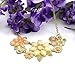DDU(TM) Charm Acrylic Bauhinia Flower Chunky Statement Bib Choker Necklace Neckchain
