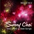 Medleys Vol. 3: Best Artists Best Songs