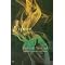 Kleo's top 20 books - recommended