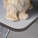 Midwest Plywood Grooming Table with Arm  (36L x 24W x 30H)