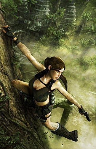 Rose jack 24 INCH / ART Poster / Tomb Raider Underworld Lara Game Poster family silk wall