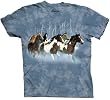The Mountain Men's Winter Run Short Sleeve Tee