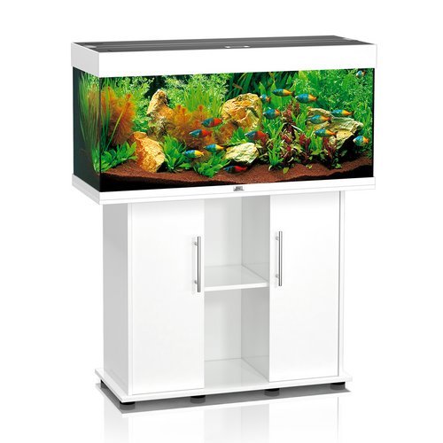 JUWEL AQUARIEN Aquarium Set »Rio«