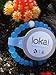 Lokai Bracelet (Medium, Blue)