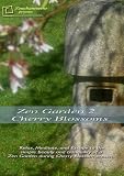 Zen Garden - Cherry Blossoms Relaxation Video