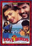 Love Birds (1997) (Hindi Film / Bollywood Movie / Indian Cinema DVD)