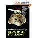 Oxford Handbook of Transcranial Stimulation (Oxford Handbooks)