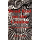 dead end on the camino a noa webster mystery