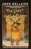The Ghost in the Mirror (Lewis Barnavelt)