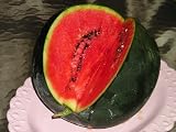 Sugar Baby Watermelon - 40 Seeds