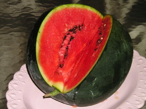 40 Sugar Baby Watermelon Seeds By Seed Needs