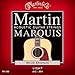 Martin M1100 }[` AR[XeBbNM^[