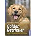 Golden Retriever: Auswahl, Haltung, Erziehung, Besch�ftigung