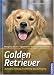 Image of Golden Retriever: Auswahl, Haltung, Erziehung, Beschäftigung