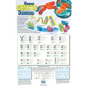 SciEd Human Genetic Disorders Poster