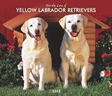 For the Love of Yellow Labrador Retrievers 2008 Calendar