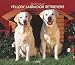 Labrador Retrievers, Yellow For the Love of 2008 Deluxe Wall Calendar (Multilingual Edition)