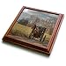 3dRose trv_243484_1 Cool Funny Moose Camping and Roasting Marshmallows Trivet with Tile, 8 by 8