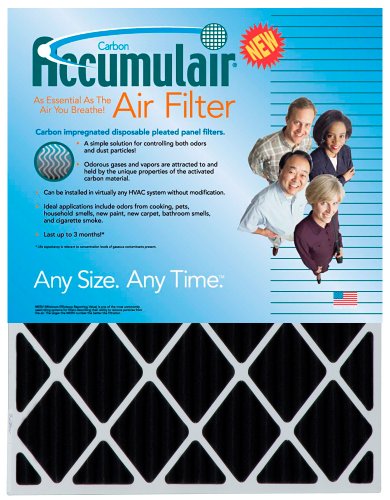 Accumulair Carbon Odor-Ban Pleated Panel Filter 12x24x1 6-Pack