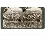 Photographic Print of Bethany, as seen from the eastern slope of the Mount of Olives, Palestine, 1899. from Heritage-Images
