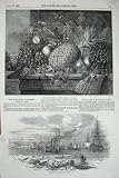 1848 PRIZE FRUIT BLENHEIM WAR STEAMER SHIP KINGSTOWN
