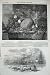1848 Prize Fruit Blenheim War Steamer Ship Kingstown