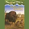Magic Tree House, Book 18: Buffalo Before Breakfast