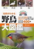 ̾�����狼����Ļ��޴� 99����Ĥ�����ʹ����CD�դ�