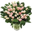 Tulips, 40