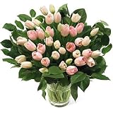 Tulips, 40