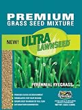 Amturf 77021 Ultra Perennial Rye Grass Seed 3-Pound Bag
