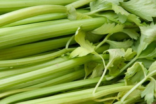 A Crash Course on How to Grow Celery