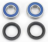 All Balls Street Wheel Bearing Kit – Front 25-1389