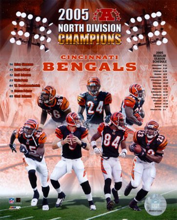 Cincinnati Bengals 2005 North Division Champions , 8x10