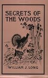 Buy : Secrets of the Woods (Yesterdays Classics)