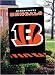 bengal21  - Cincinnati Bengals Applique Banner Flag