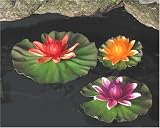*LILLY LIGHTS - B0002B9X2S