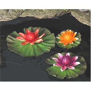 *LILLY LIGHTS by 