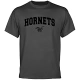 Alabama State Hornets Charcoal Logo Arch T-shirt
