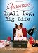 Small Dog, Big Life: Memoirs of a Furry Genius